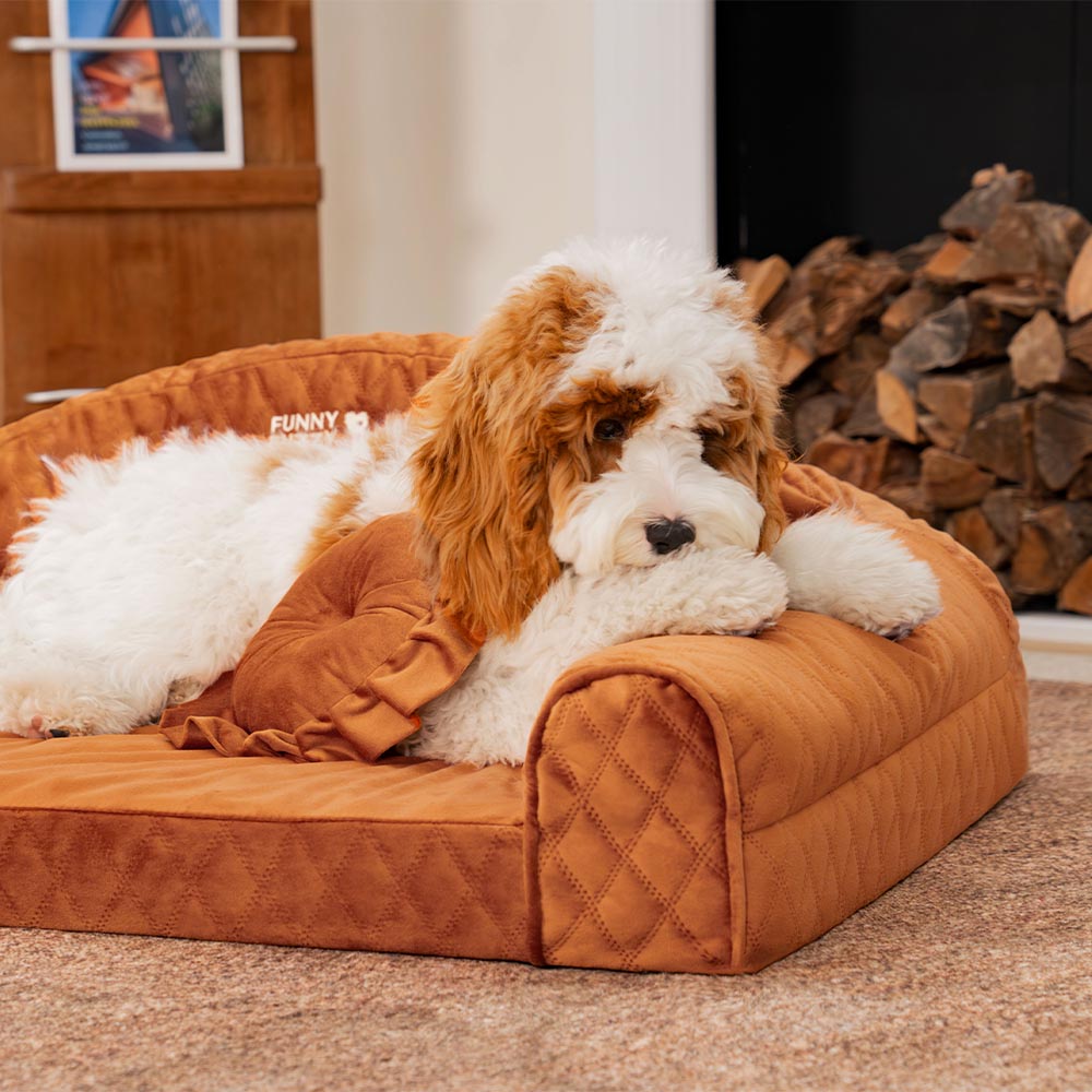 Pinky Cozy Bolster Dog Sofa Bed -  Princess Lord