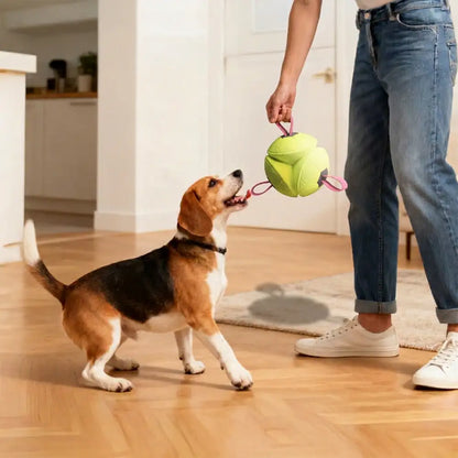 Football Floating Dog Toy with Straps