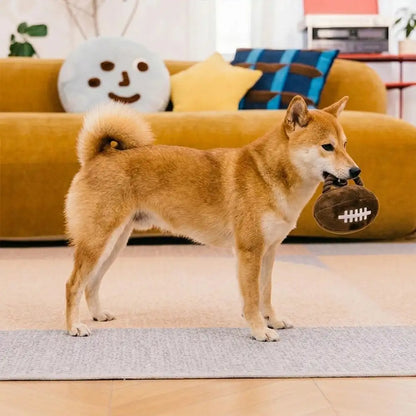 Fun Balls Dog Rope Chew Toy