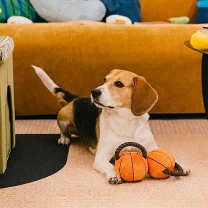 Fun Balls Dog Rope Chew Toy