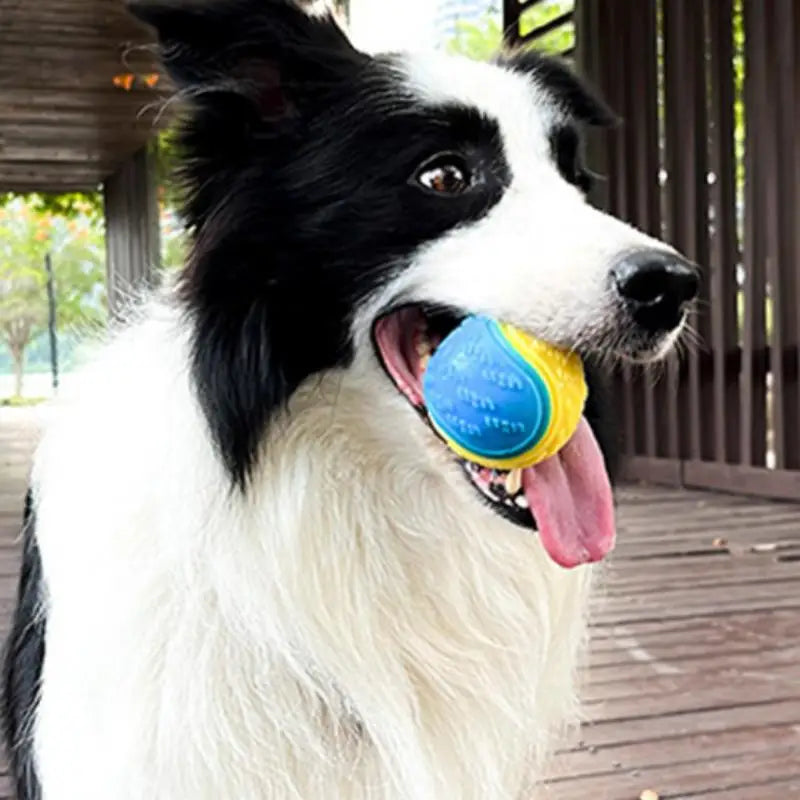 Dog Rubber Glow Train Ball Indestructible Play Toy Pet Supplie Tooth Chew Large Safe Puppy Dog Squeak Touch Water Toys Resistant